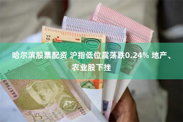 哈尔滨股票配资 沪指低位震荡跌0.24% 地产、农业股下挫