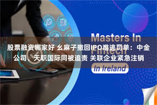 股票融资哪家好 幺麻子撤回IPO难逃罚单：中金公司、天职国际同被追责 关联企业紧急注销
