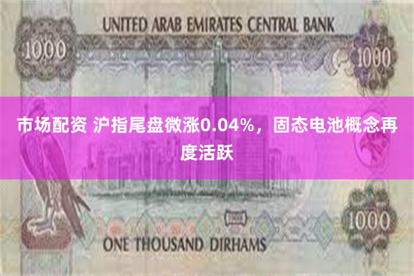 市场配资 沪指尾盘微涨0.04%，固态电池概念再度活跃