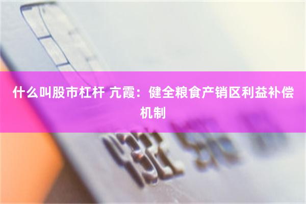 什么叫股市杠杆 亢霞：健全粮食产销区利益补偿机制