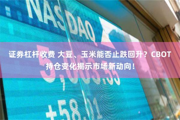 证券杠杆收费 大豆、玉米能否止跌回升？CBOT持仓变化揭示市场新动向！