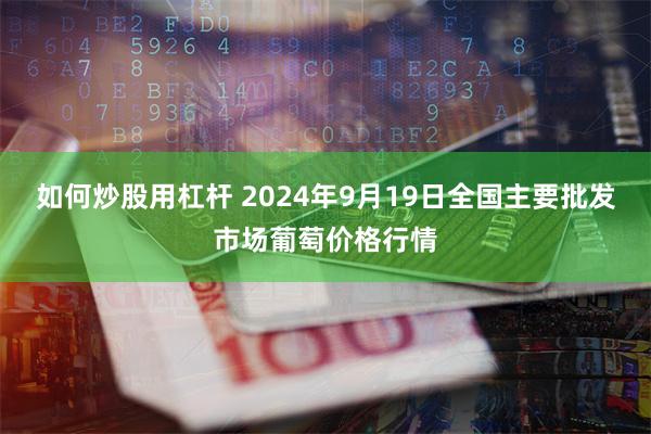 如何炒股用杠杆 2024年9月19日全国主要批发市场葡萄价格行情