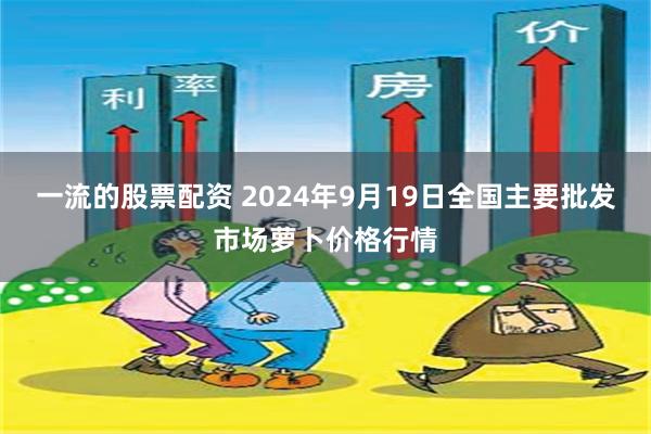 一流的股票配资 2024年9月19日全国主要批发市场萝卜价格行情