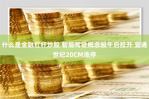 什么是金融杠杆炒股 智能驾驶概念股午后拉升 宜通世纪20CM涨停