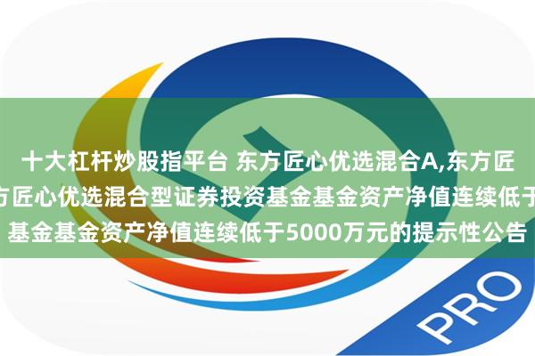 十大杠杆炒股指平台 东方匠心优选混合A,东方匠心优选混合C: 关于东方匠心优选混合型证券投资基金基金资产净值连续低于5000万元的提示性公告