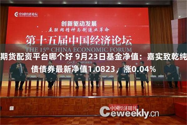 期货配资平台哪个好 9月23日基金净值：嘉实致乾纯债债券最新净值1.0823，涨0.04%