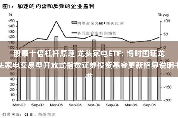 股票十倍杠杆原理 龙头家电ETF: 博时国证龙头家电交易型开放式指数证券投资基金更新招募说明书