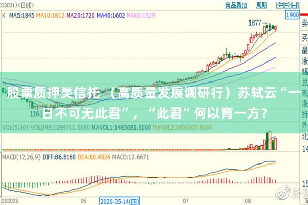 股票质押类信托 （高质量发展调研行）苏轼云“一日不可无此君”，“此君”何以育一方？