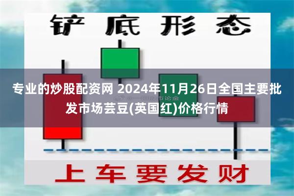 专业的炒股配资网 2024年11月26日全国主要批发市场芸豆(英国红)价格行情