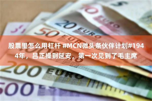 股票里怎么用杠杆 #MCN微头条伙伴计划#1944年，吕正操到延安，第一次见到了毛主席