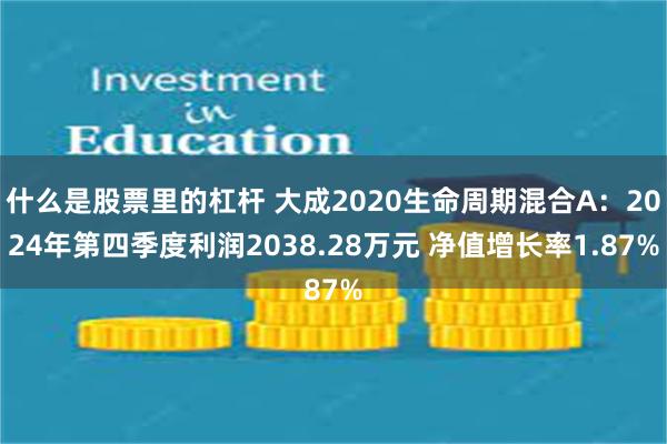 什么是股票里的杠杆 大成2020生命周期混合A：2024年第四季度利润2038.28万元 净值增长率1.87%