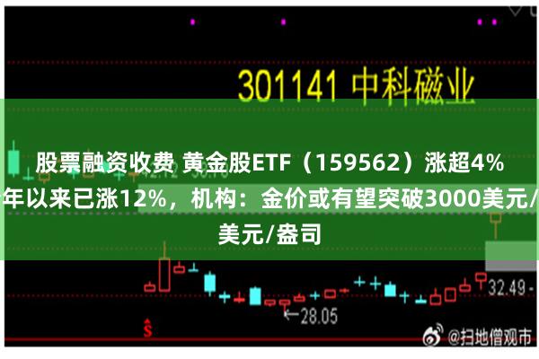 股票融资收费 黄金股ETF（159562）涨超4%，今年以来已涨12%，机构：金价或有望突破3000美元/盎司