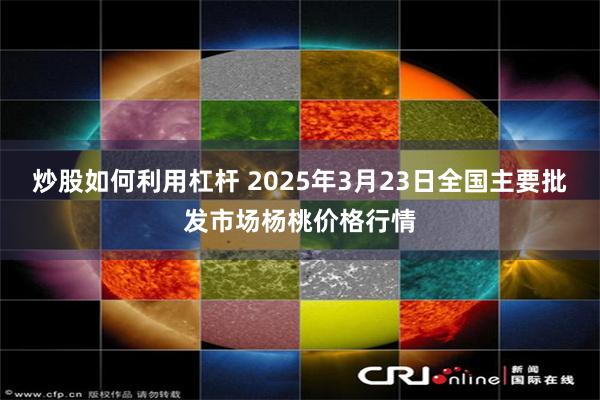 炒股如何利用杠杆 2025年3月23日全国主要批发市场杨桃价格行情