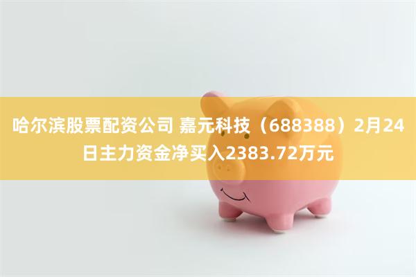 哈尔滨股票配资公司 嘉元科技（688388）2月24日主力资金净买入2383.72万元
