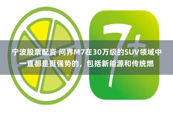 宁波股票配资 问界M7在30万级的SUV领域中一直都是挺强势的，包括新能源和传统燃