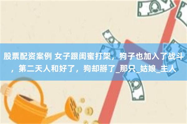 股票配资案例 女子跟闺蜜打架，狗子也加入了战斗，第二天人和好了，狗却掰了_那只_姑娘_主人