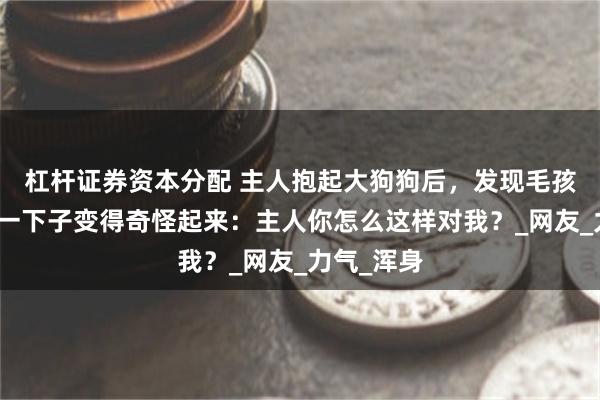 杠杆证券资本分配 主人抱起大狗狗后，发现毛孩子的表情一下子变得奇怪起来：主人你怎么这样对我？_网友_力气_浑身