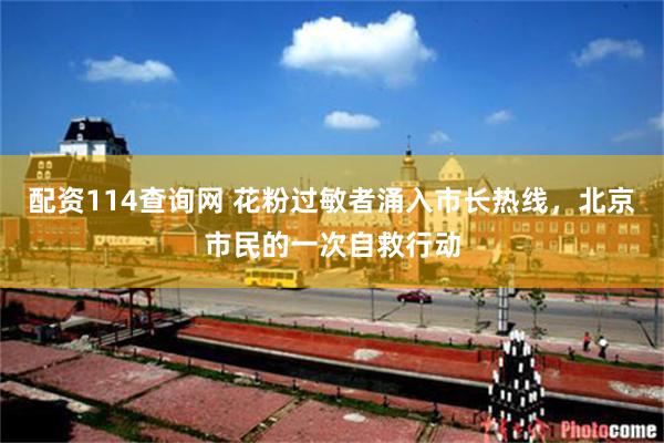 配资114查询网 花粉过敏者涌入市长热线，北京市民的一次自救行动