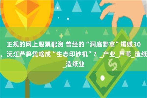 正规的网上股票配资 曾经的“洞庭野草”爆赚30亿，沅江芦笋凭啥成“生态印钞机”？_产业_芦苇_造纸业