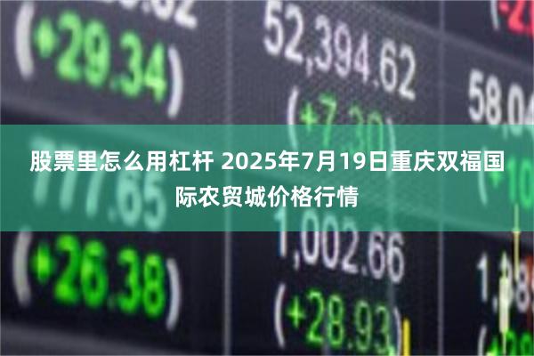 股票里怎么用杠杆 2025年7月19日重庆双福国际农贸城价格行情