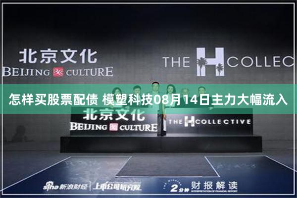 怎样买股票配债 模塑科技08月14日主力大幅流入