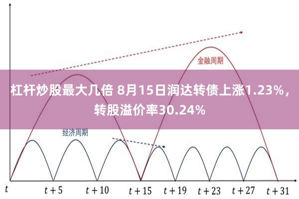 杠杆炒股最大几倍 8月15日润达转债上涨1.23%，转股溢价率30.24%