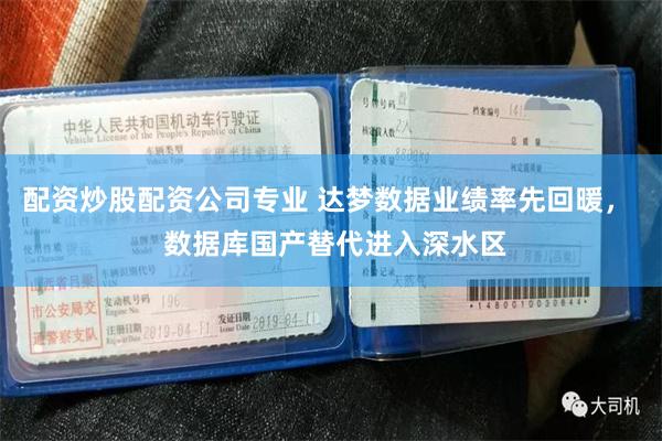 配资炒股配资公司专业 达梦数据业绩率先回暖，  数据库国产替代进入深水区