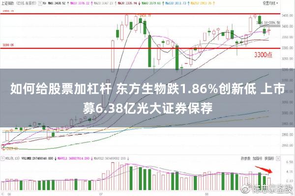 如何给股票加杠杆 东方生物跌1.86%创新低 上市募6.38亿光大证券保荐