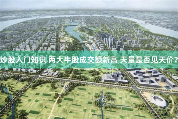 炒股入门知识 两大牛股成交额新高 天量是否见天价？