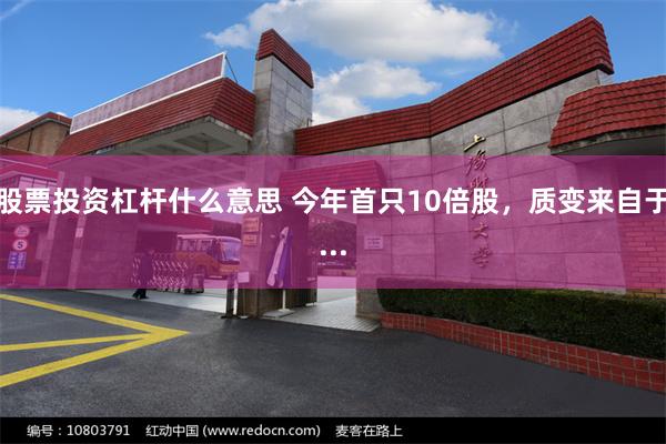 股票投资杠杆什么意思 今年首只10倍股，质变来自于...