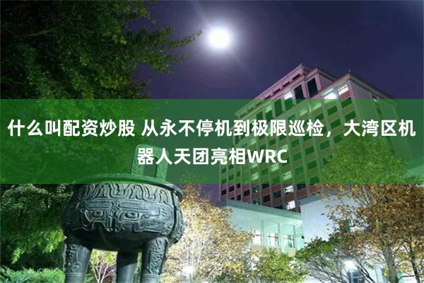 什么叫配资炒股 从永不停机到极限巡检，大湾区机器人天团亮相WRC