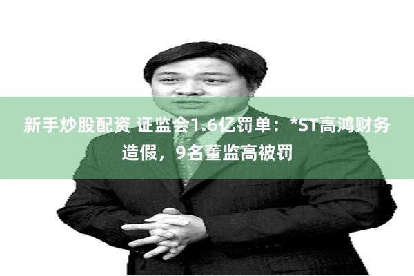 新手炒股配资 证监会1.6亿罚单：*ST高鸿财务造假，9名董监高被罚