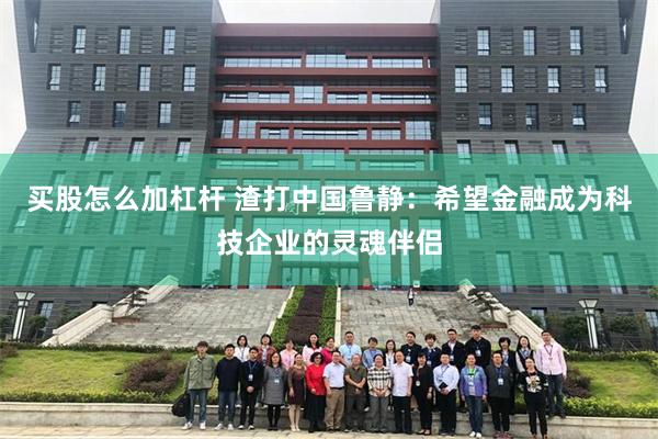 买股怎么加杠杆 渣打中国鲁静：希望金融成为科技企业的灵魂伴侣