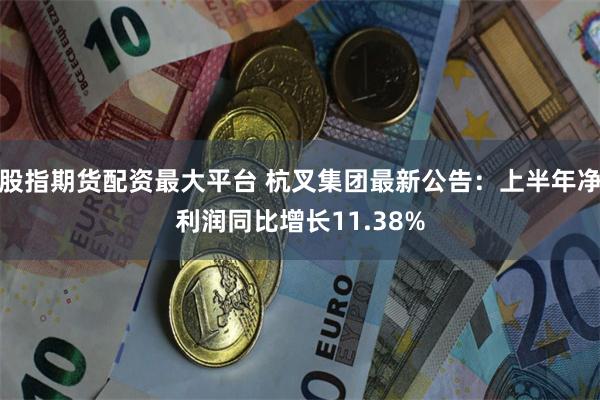 股指期货配资最大平台 杭叉集团最新公告：上半年净利润同比增长11.38%