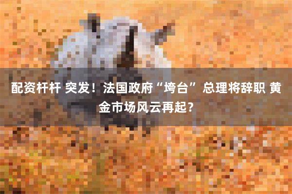 配资杆杆 突发！法国政府“垮台” 总理将辞职 黄金市场风云再起？