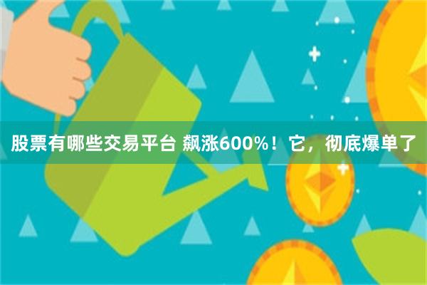 股票有哪些交易平台 飙涨600%！它，彻底爆单了